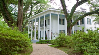Mobile mostrando una casa, un parque y patrimonio de arquitectura