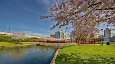 A park with a pond, cherry blossoms, a red bridge, and modern buildings in the background.