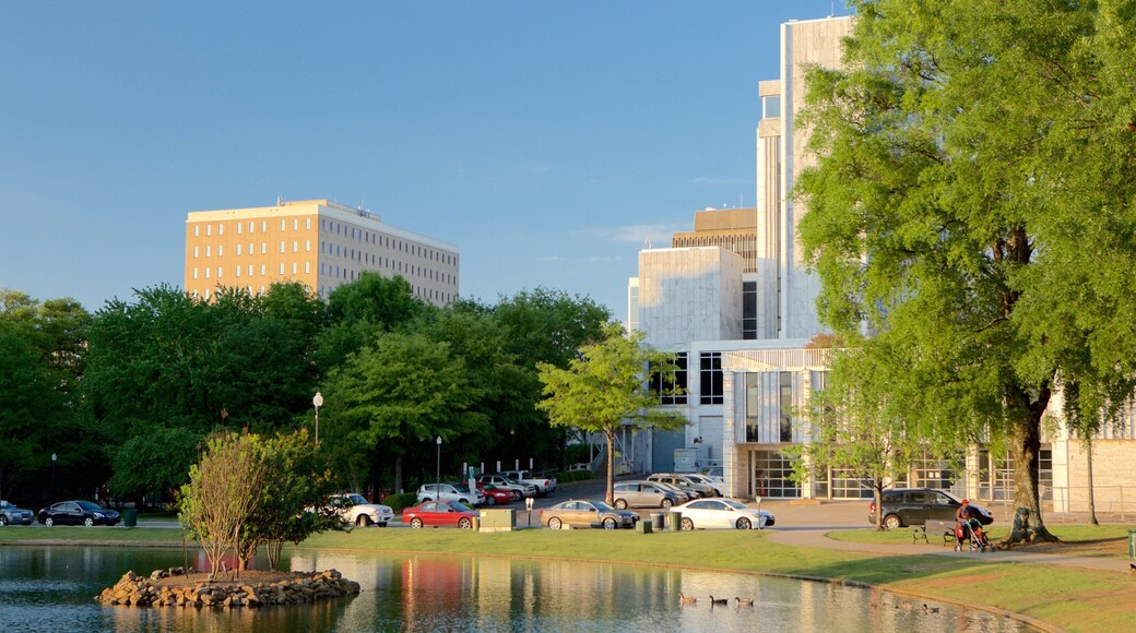 Huntsville som viser en dam og en have