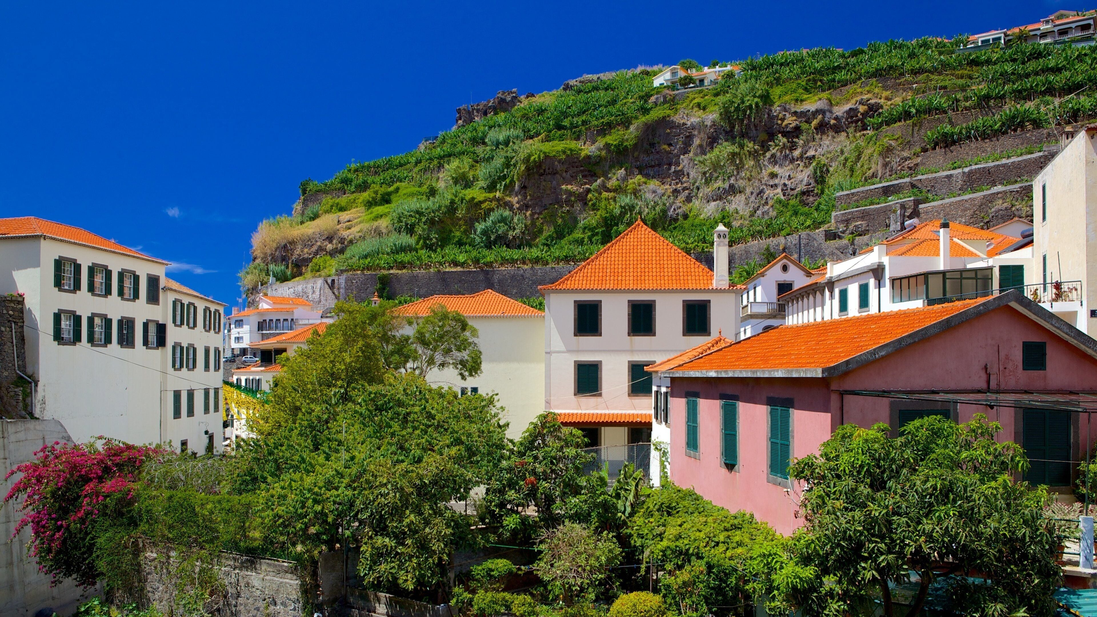 Ponta do Sol 呈现出 房屋