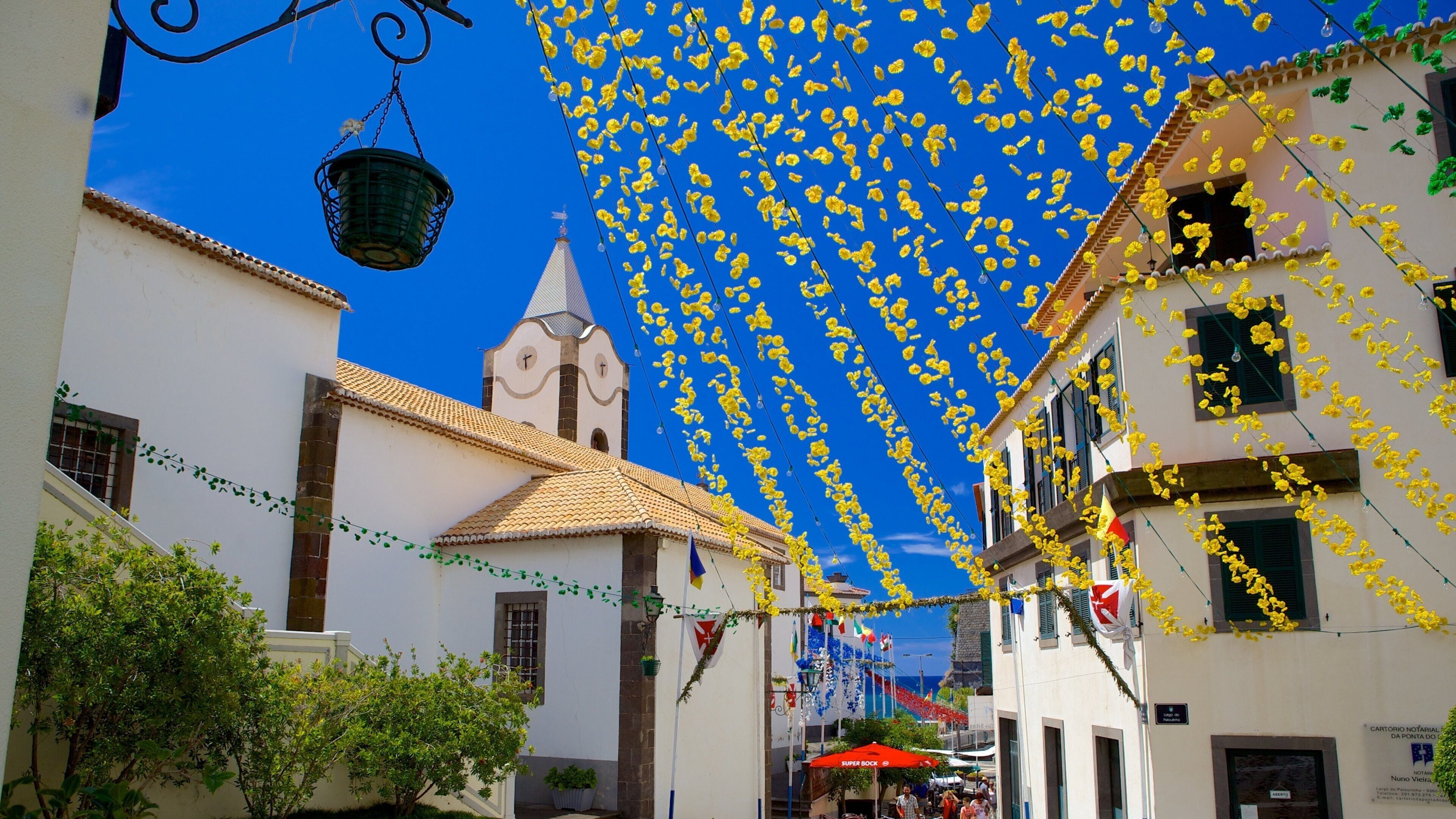Ponta do Sol featuring flowers and street scenes