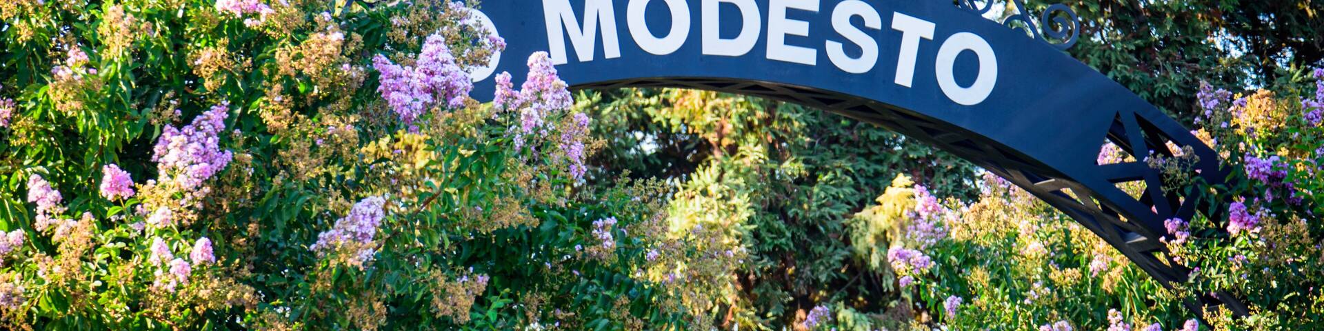 Welcome to Modesto Sign