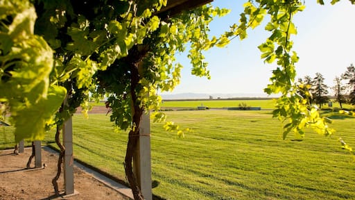 莫德斯托 设有 花園