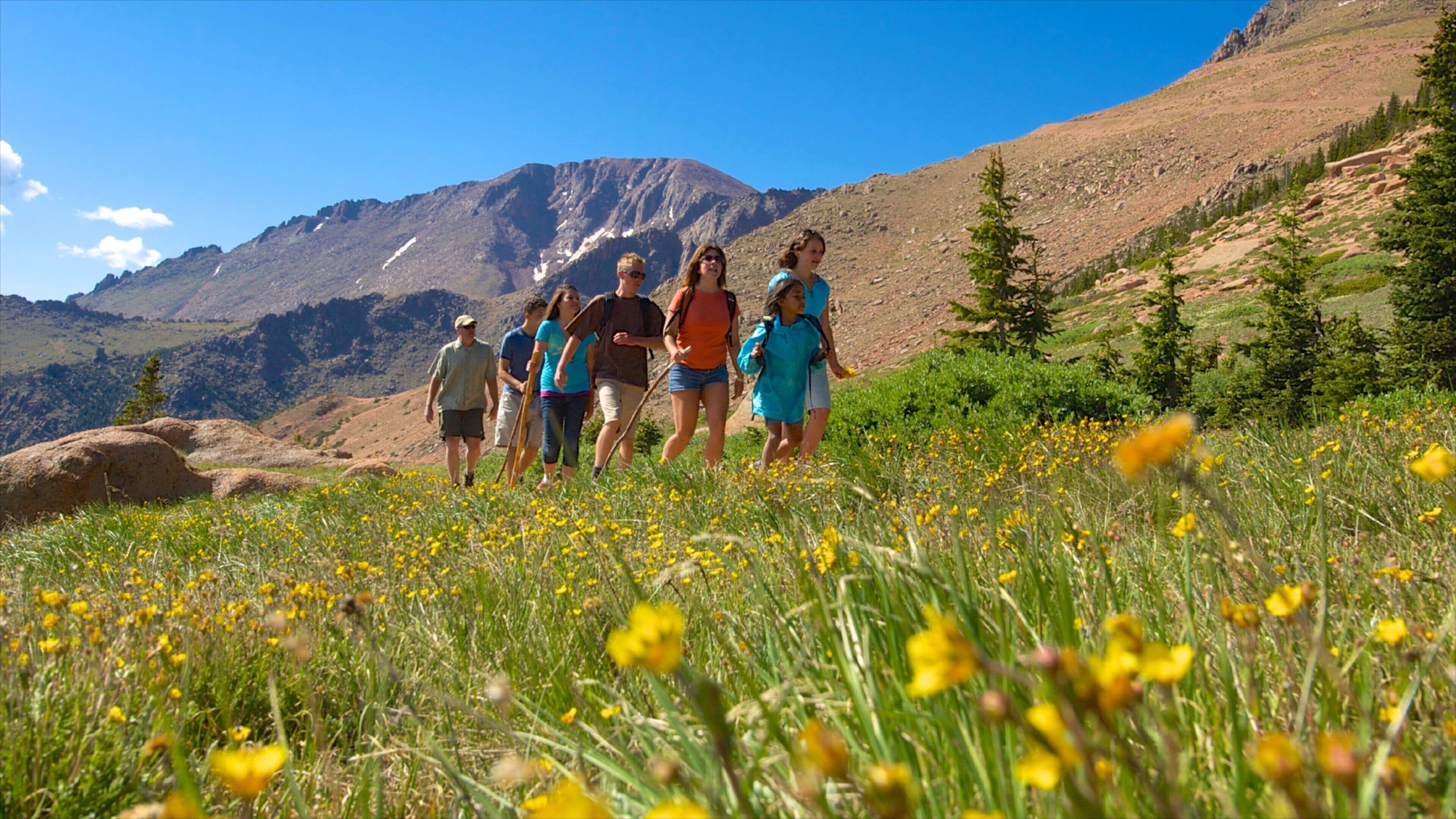 Colorado Springs qui includes paysages, montagnes et randonnée ou marche