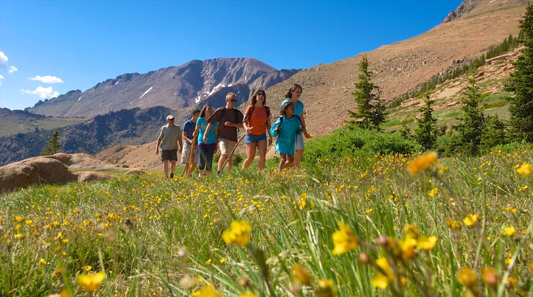 Colorado Springs qui includes paysages, montagnes et randonnée ou marche