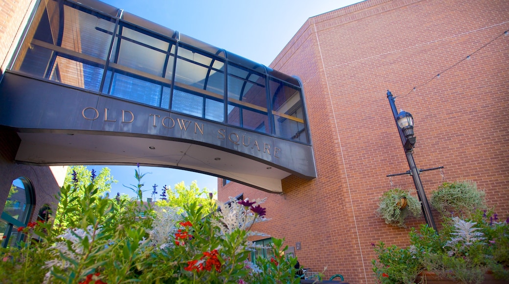 Fort Collins showing signage, a bridge and a park