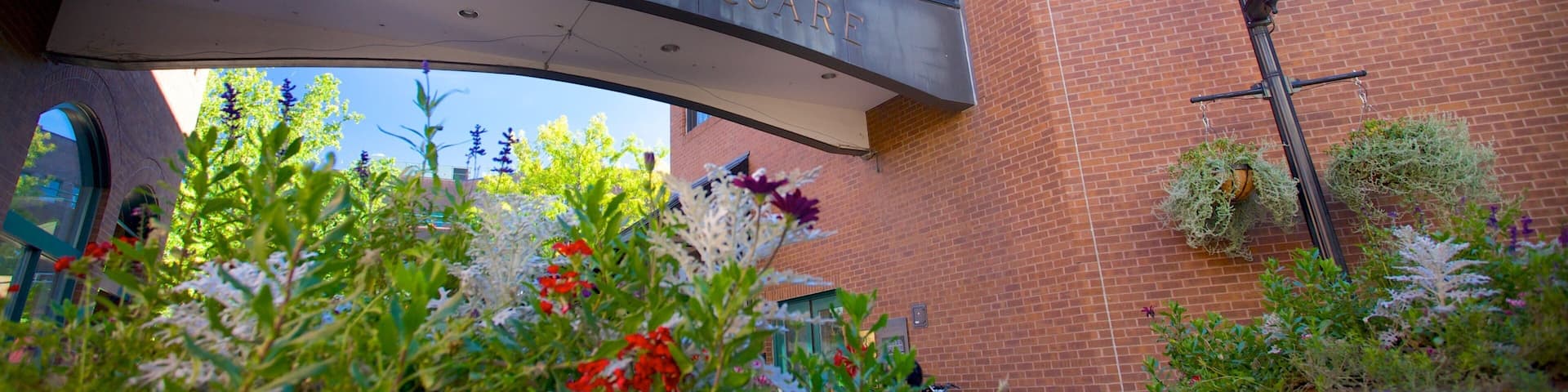 Fort Collins showing signage, a bridge and a park