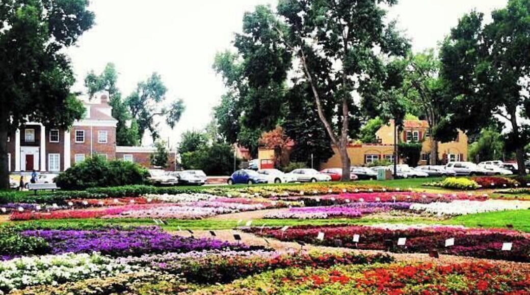 #fortcollins #colorado #flowers #garden #annual #nature #roadtrip