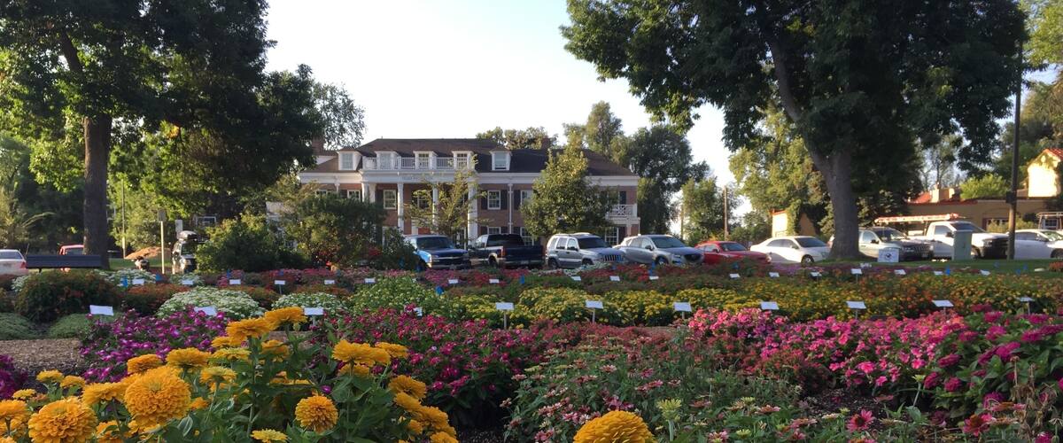 The CSU Annual Flower Trial Garden is most beautiful between July and September. With hundreds of verities of flowers on display. It is a feast for your eyes.
#LifeAtExpediaGroup