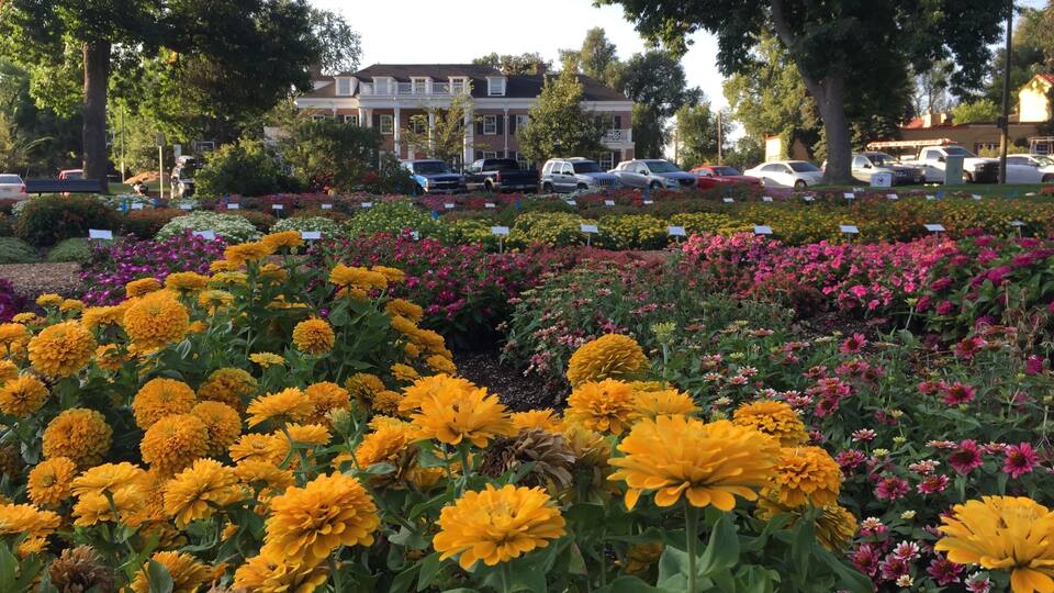 The CSU Annual Flower Trial Garden is most beautiful between July and September. With hundreds of verities of flowers on display. It is a feast for your eyes.
#LifeAtExpediaGroup