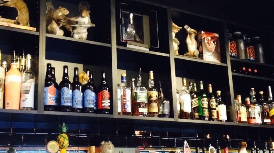 Seriously good beer here! Got tasters of the Count Chocula where they wiped out a few store's entire stock to make the stout. Pretty fun set-up with lots of stuffed squirrels in the books!