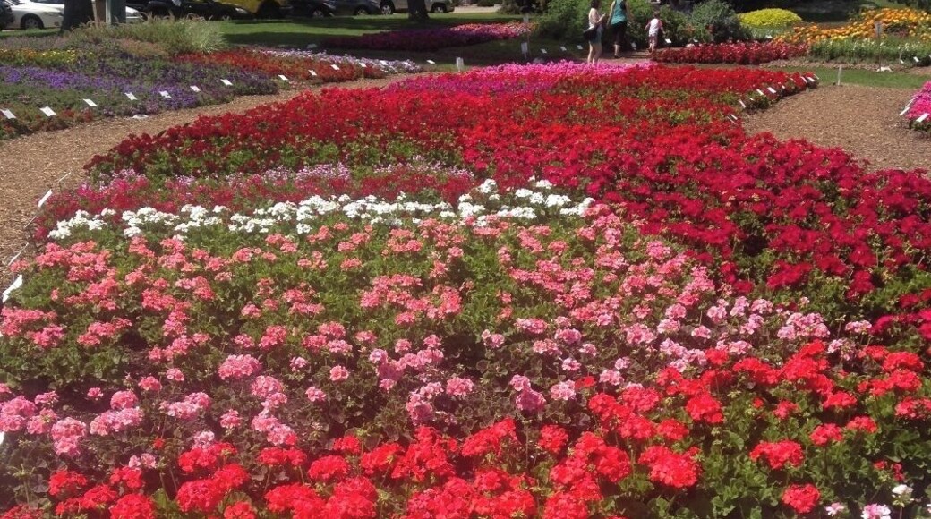 A wonderful burst of colour. It's an outdoor display and area for horticultural research in the unique environment of the Rocky Mountain region. It's also free and really pretty.