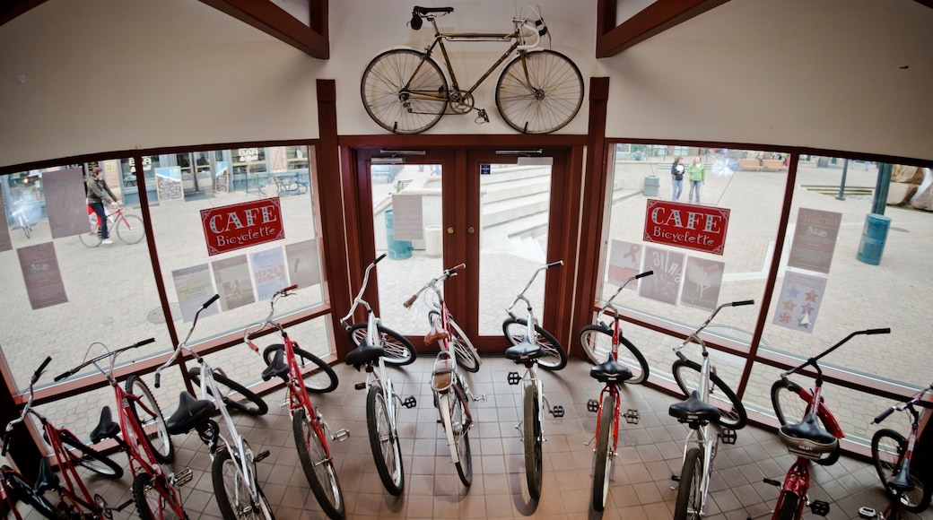 Fort Collins og byder på cykling og interiør