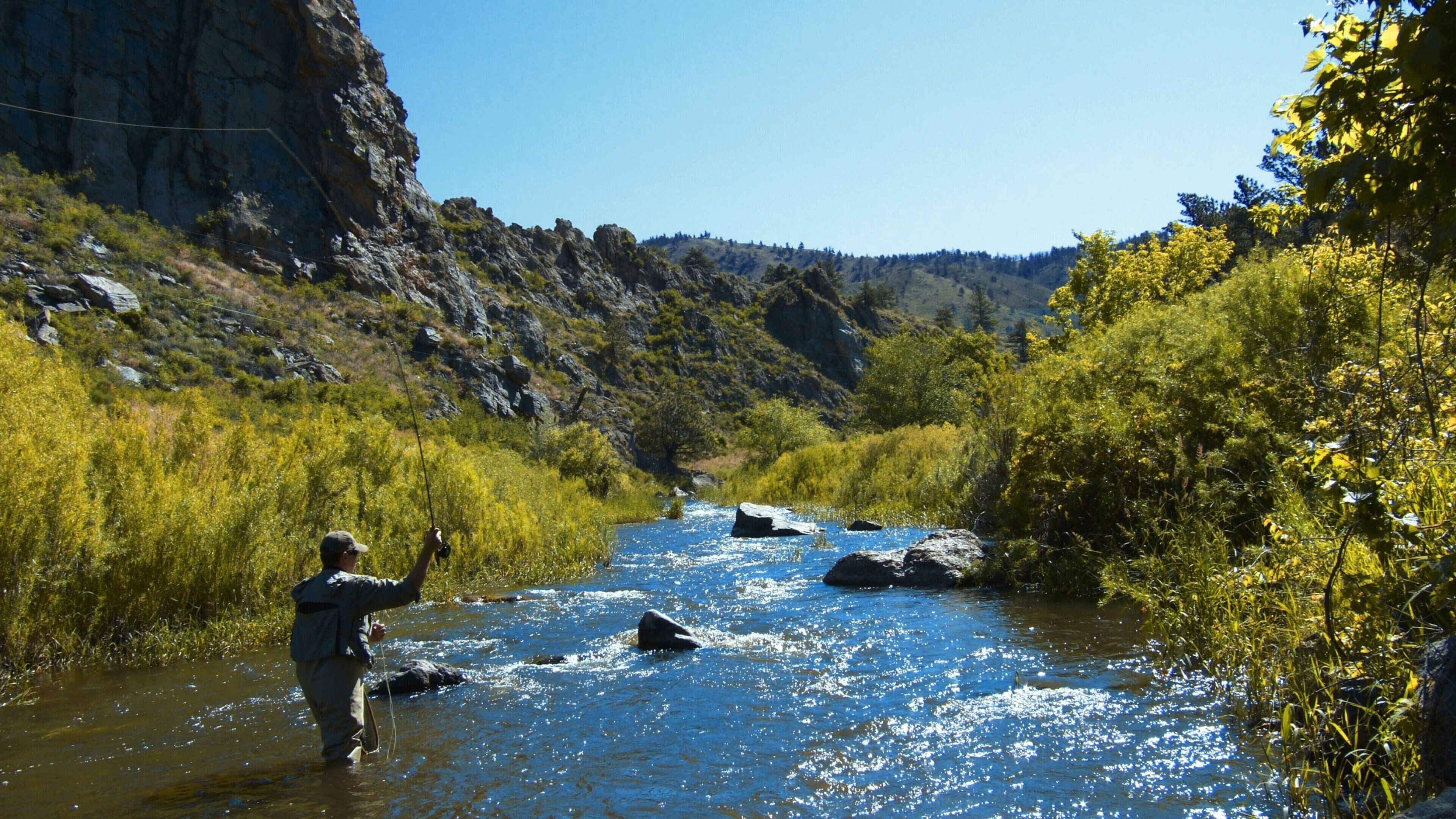 Fort Collins featuring tranquil scenes, fishing and a river or creek