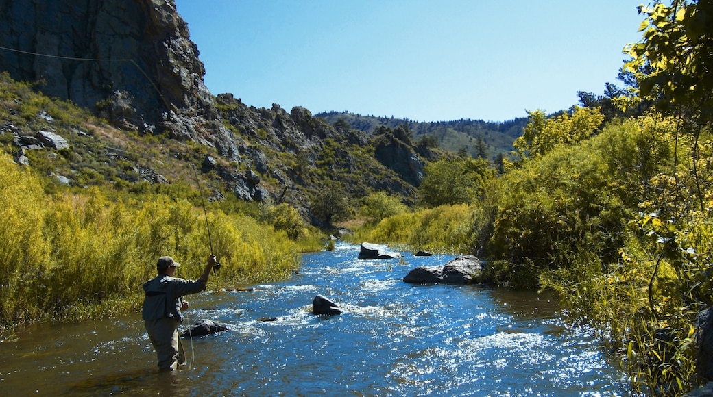 Fort Collins featuring tranquil scenes, fishing and a river or creek