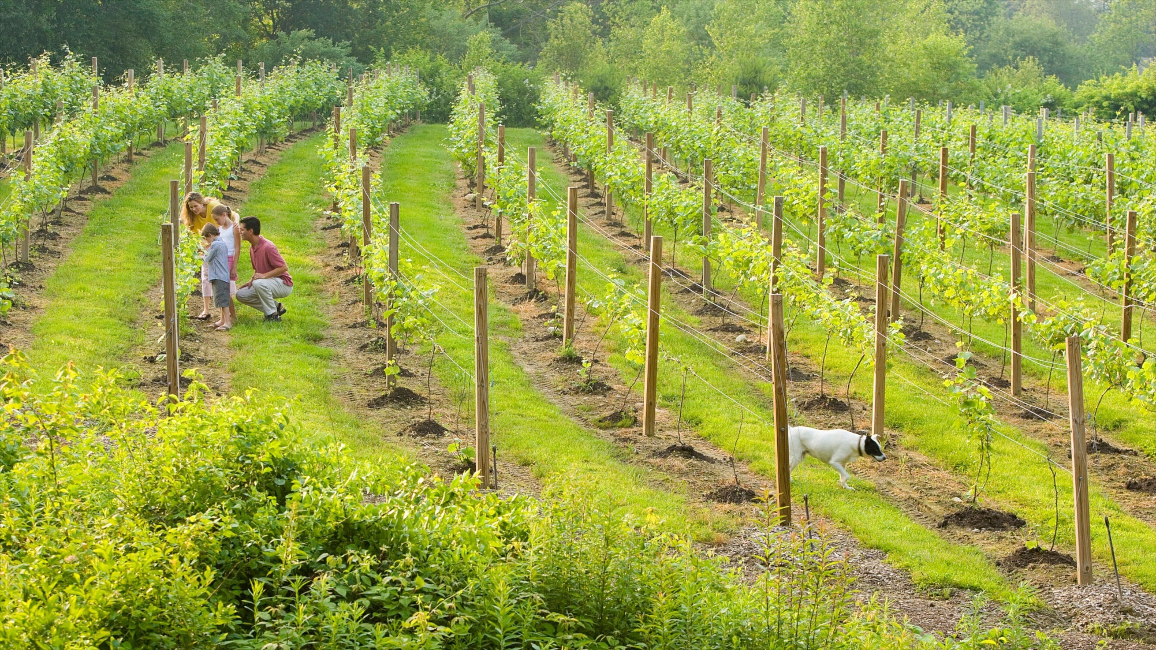 Mystic - New London which includes farmland as well as a family