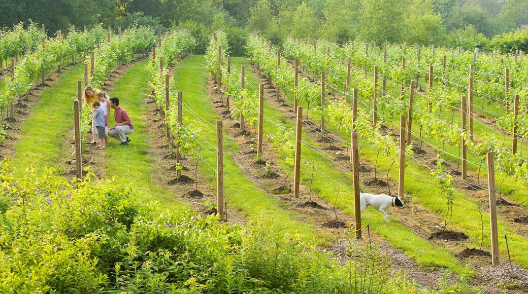 Mystic - New London which includes farmland as well as a family