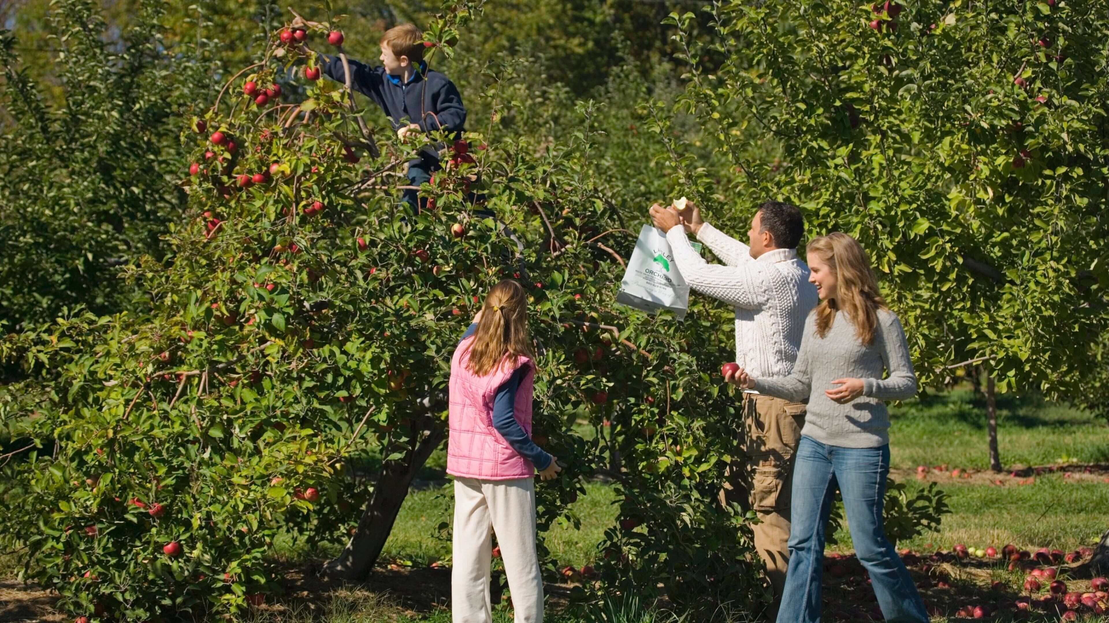 Mystic which includes farmland as well as a family
