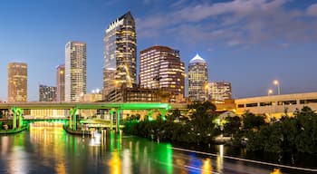 Tampa skyline with skyscrapers real estate bridge over Hillsborough River panorama at night in downtown Tampa, United States