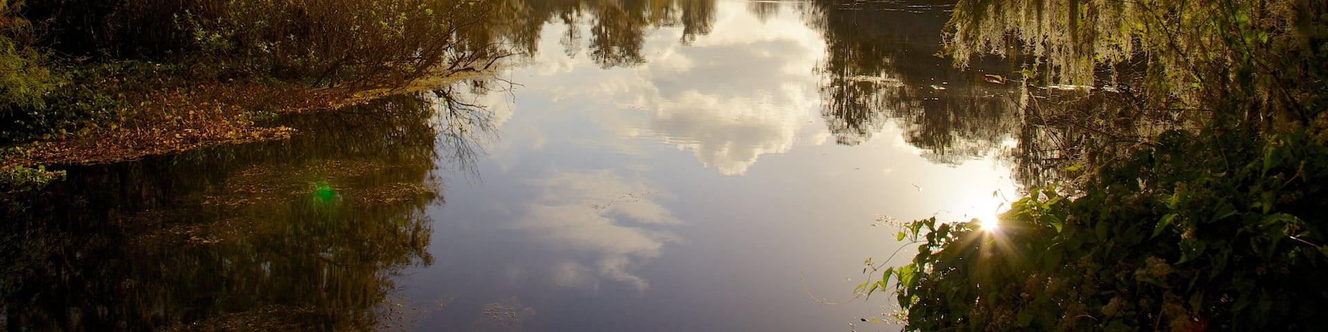 Tampa showing a sunset and a river or creek