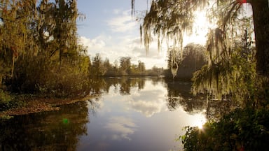 Tampa showing a sunset and a river or creek