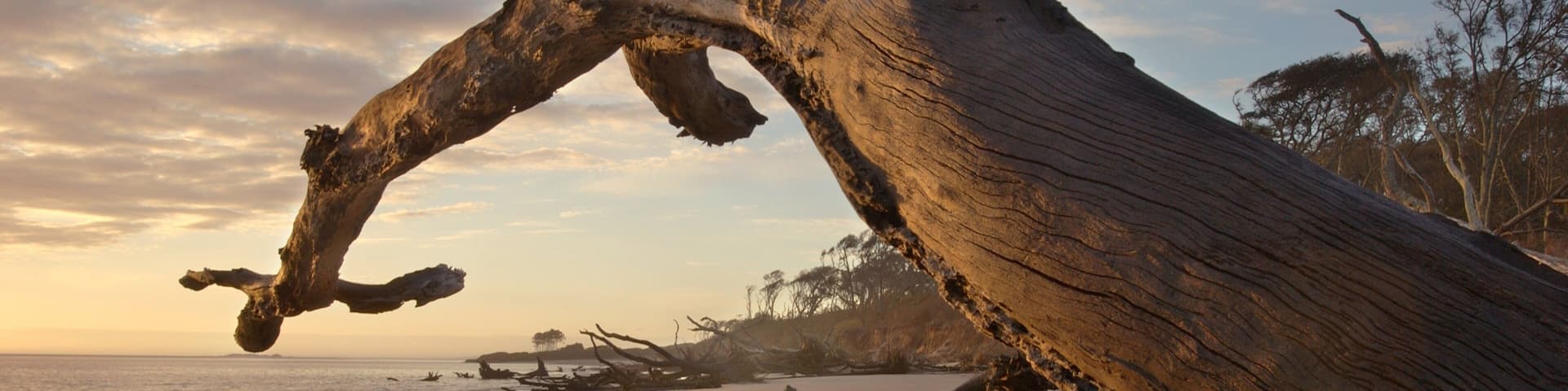 Big Talbot Island State Park showing a sunset, general coastal views and a sandy beach