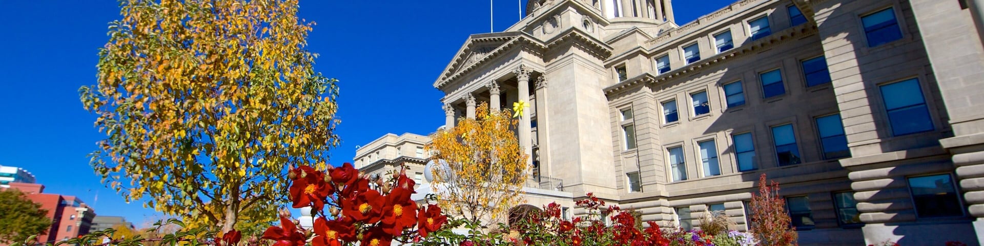 Um edifício governamental com uma cúpula imponente e colunas, rodeado por folhagem outonal e flores vibrantes.
