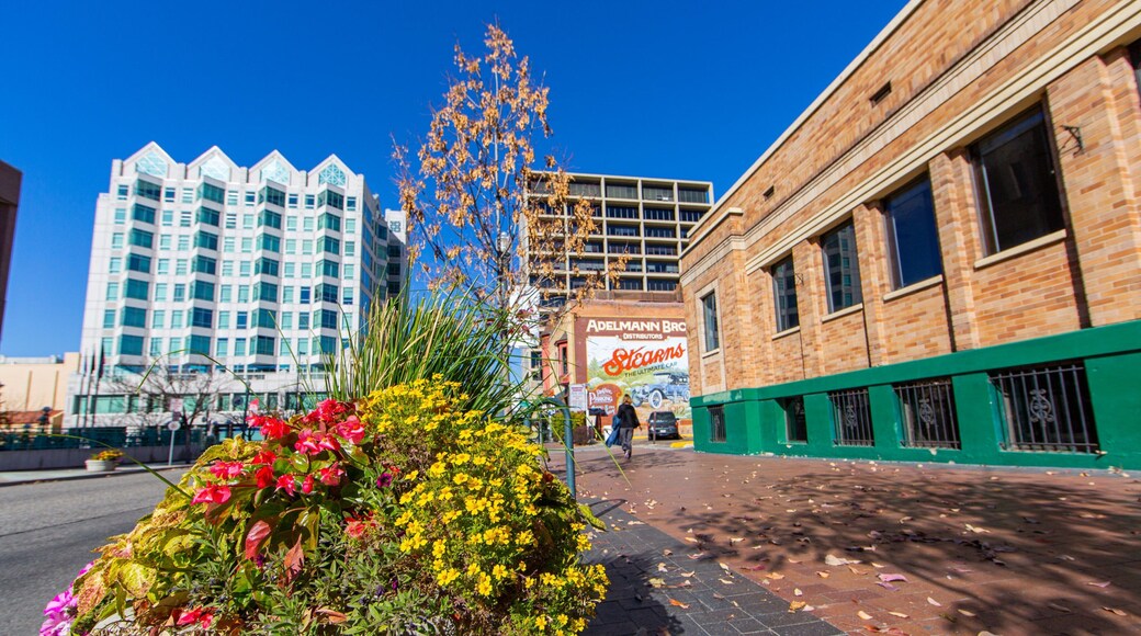 Boise featuring a park and flowers