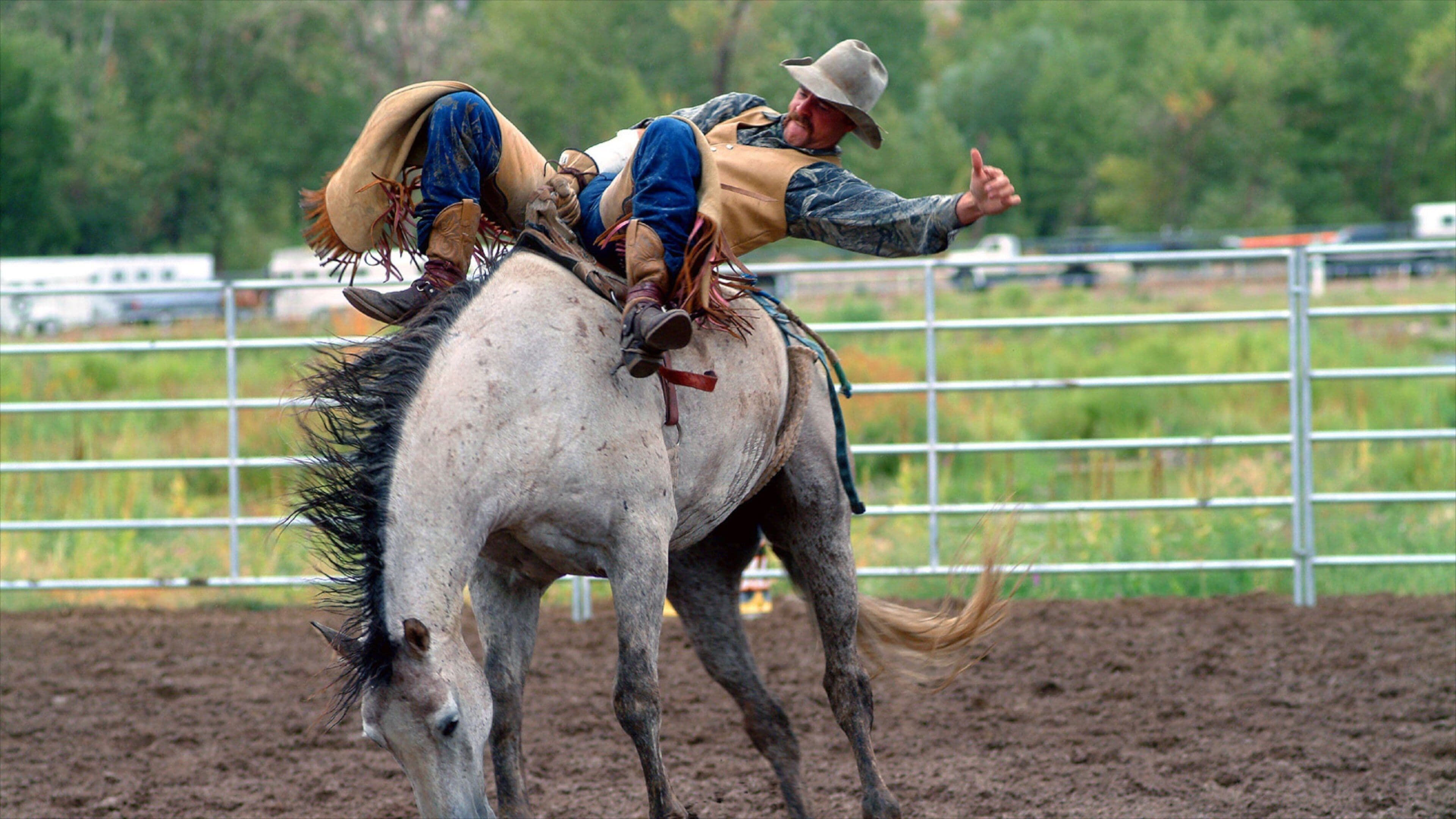 Rodeo rider demonstrates skill while competing in Boise, Idaho's exciting outdoor event