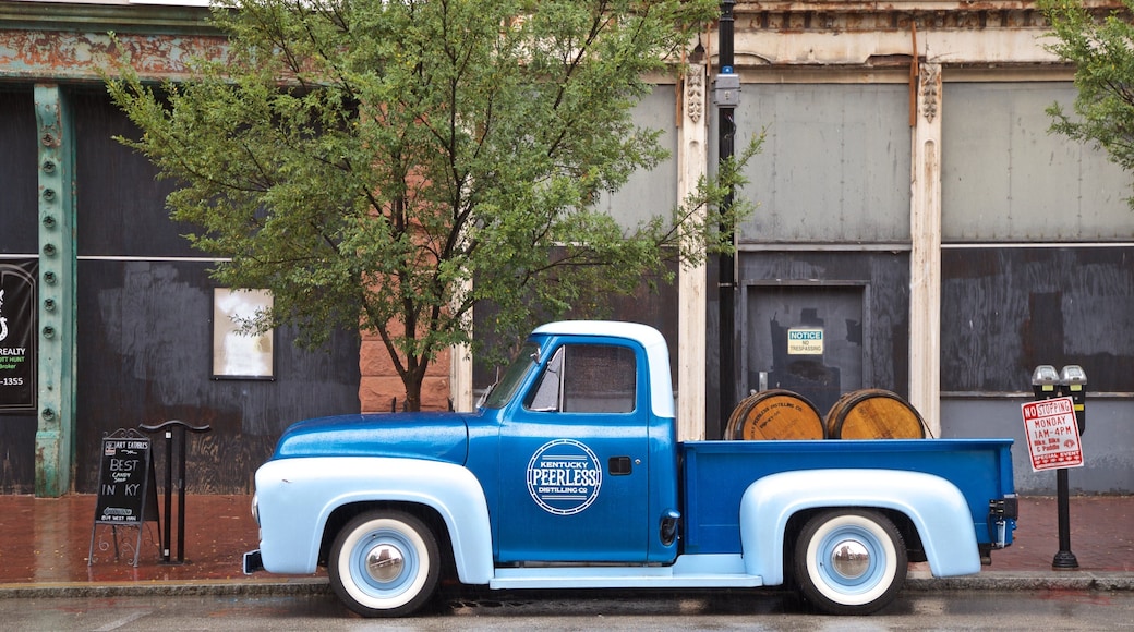 Louisville which includes signage