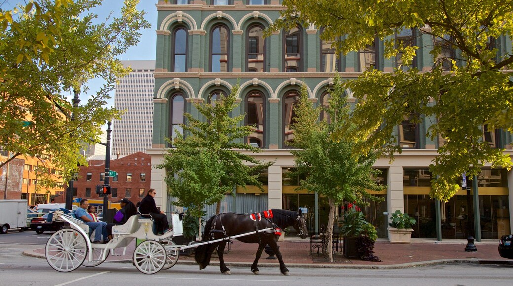 Louisville mostrando animales terrestres, elementos del patrimonio y equitación