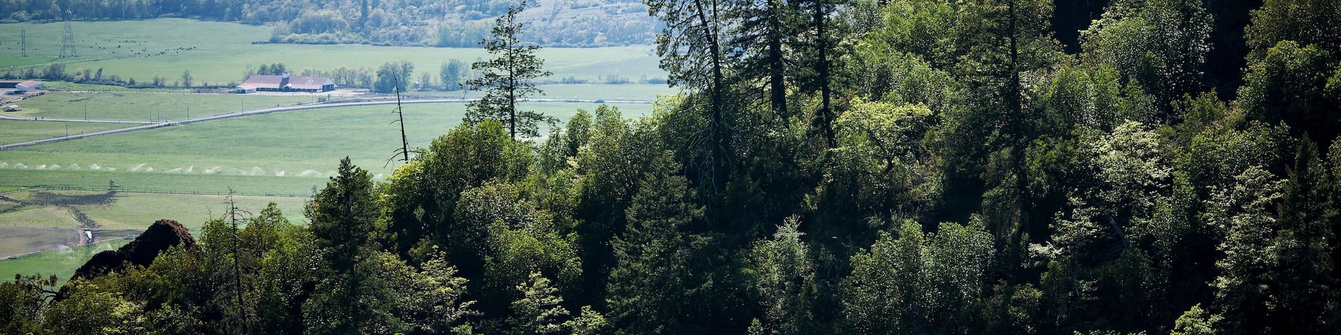 A valley with a steep cliff, dense forest, and a distant building.