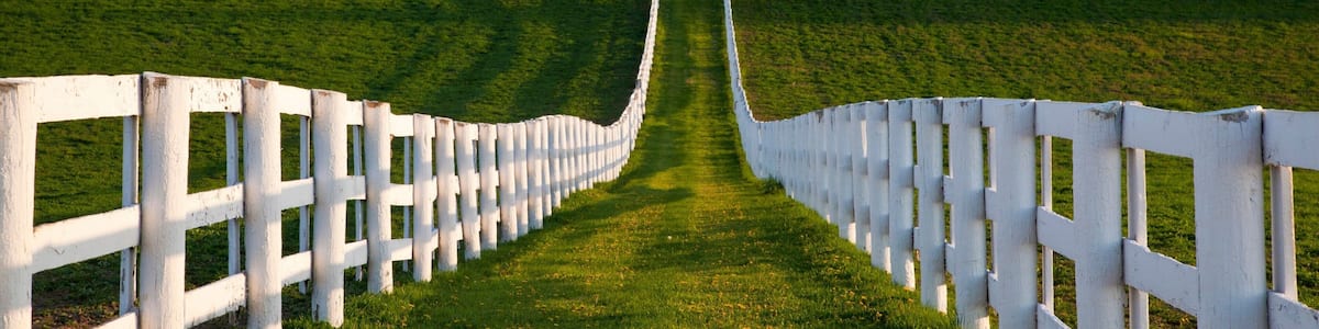 Lexington showing tranquil scenes and farmland
