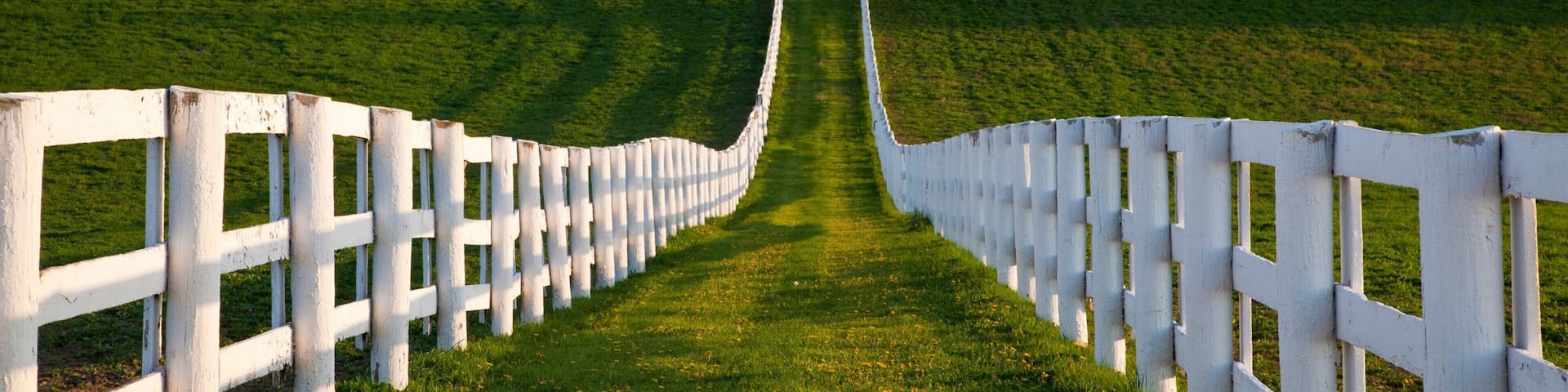 Lexington og byder på landbrugsområde og fredfyldte omgivelser