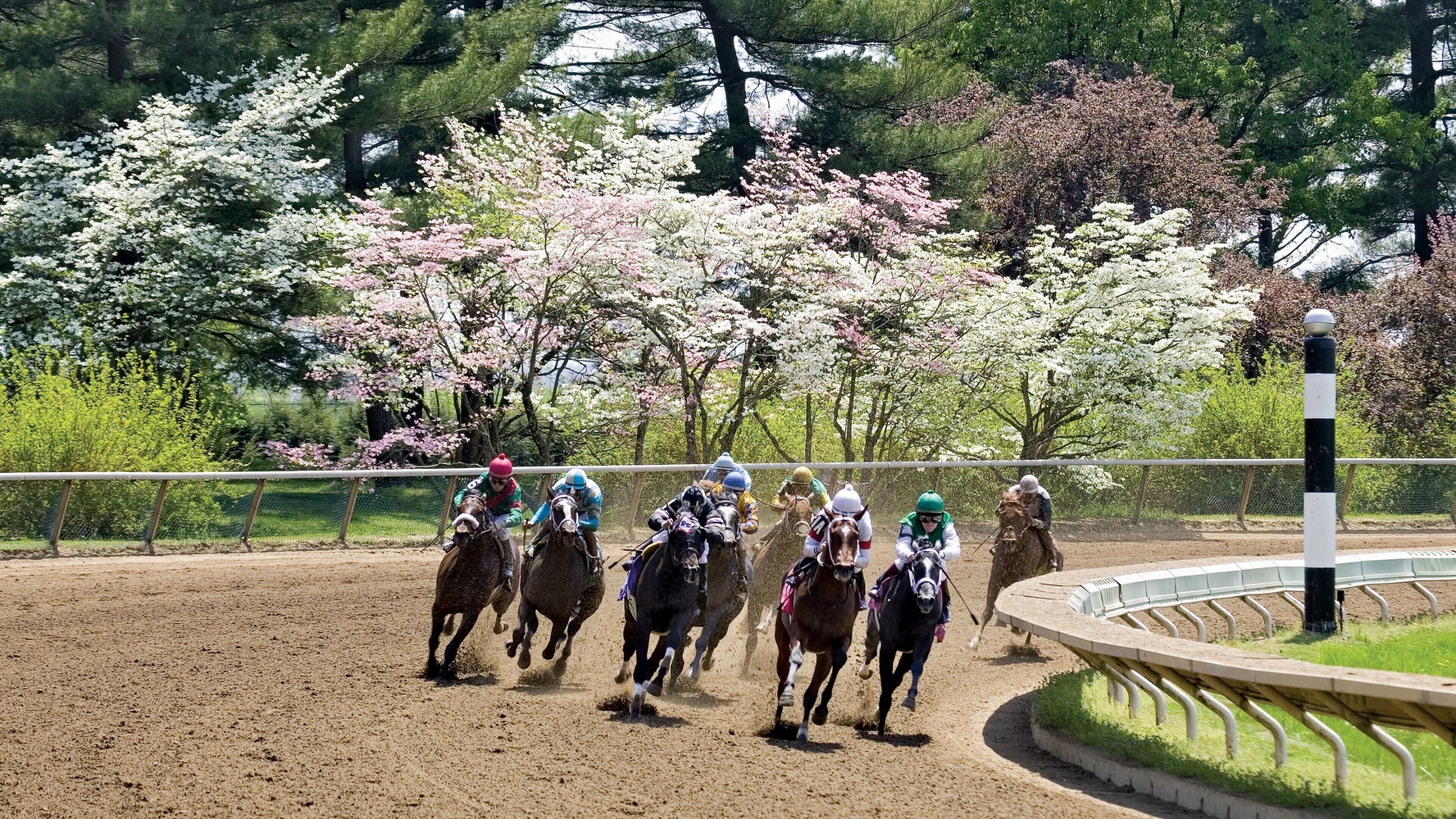 Lexington featuring a sporting event and horseriding
