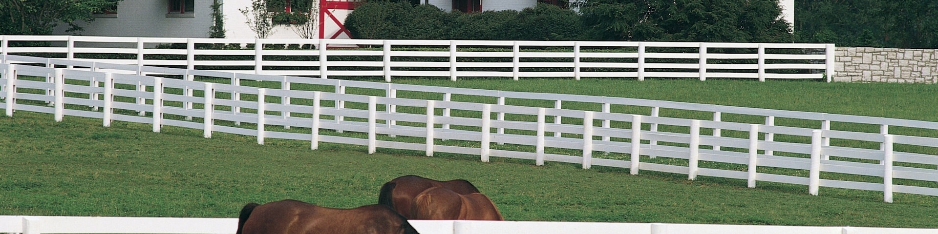 A white fence, horses, and a building with red accents.