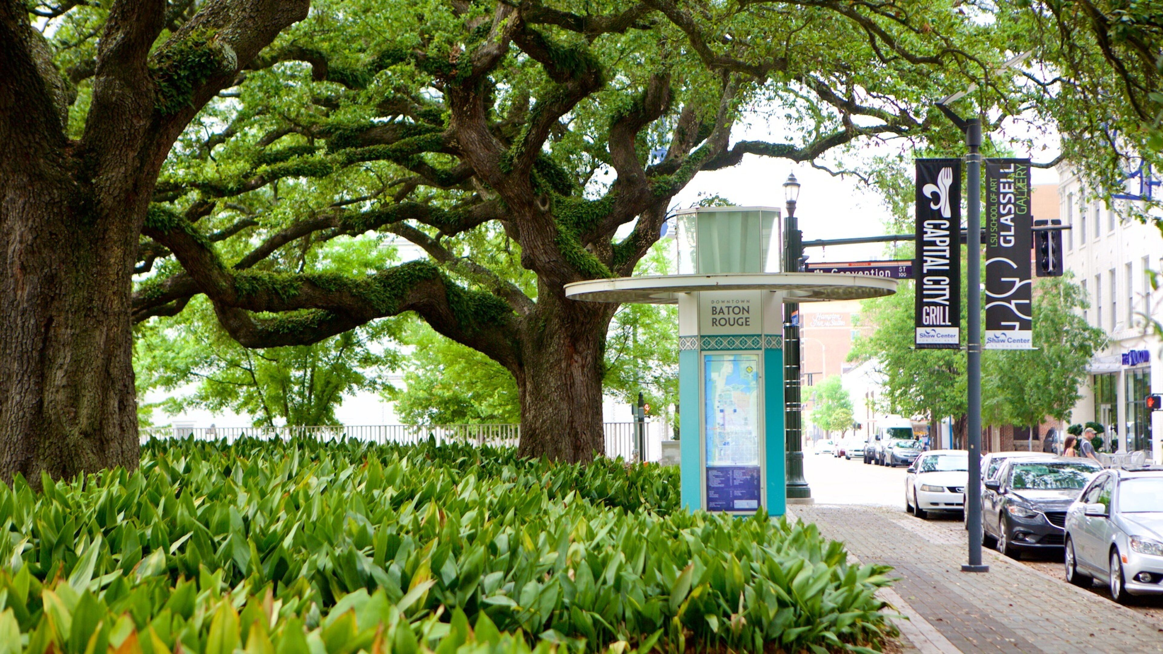 A tree-lined sidewalk with a blue information kiosk, cars parked along the street, and buildings in the background.