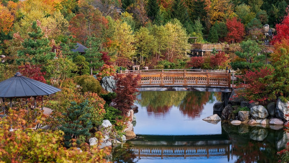 Ein friedlicher Teich, umgeben von Herbstlaub, eine Holzbrücke und ein traditioneller Pavillon.