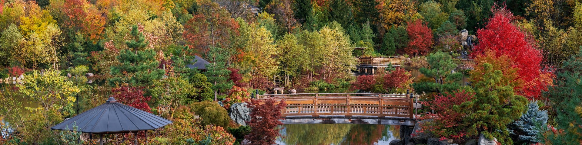 A serene pond surrounded by autumn foliage, a wooden bridge, and a traditional gazebo.