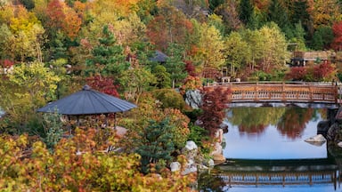 A serene pond surrounded by autumn foliage, a wooden bridge, and a traditional gazebo.