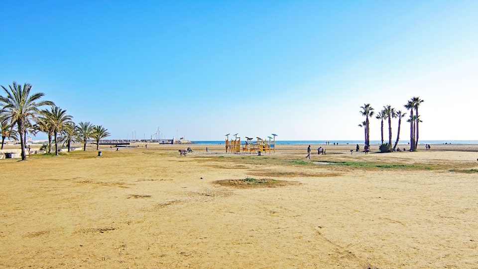 A sandy beach with palm trees and a playground.