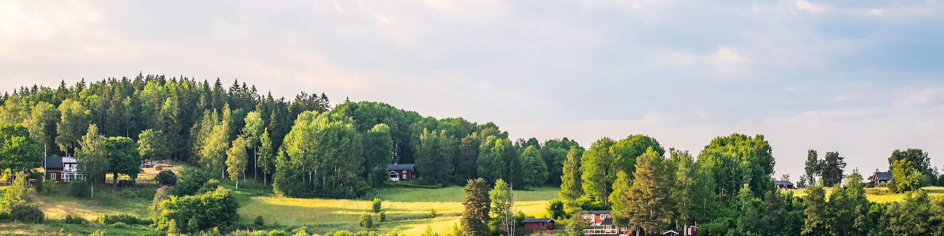 Swedish Summer Landscape with Lake and Countryside Houses.