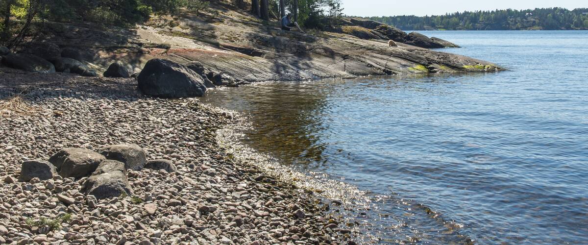 A rocky shoreline with a calm lake, surrounded by dense trees.