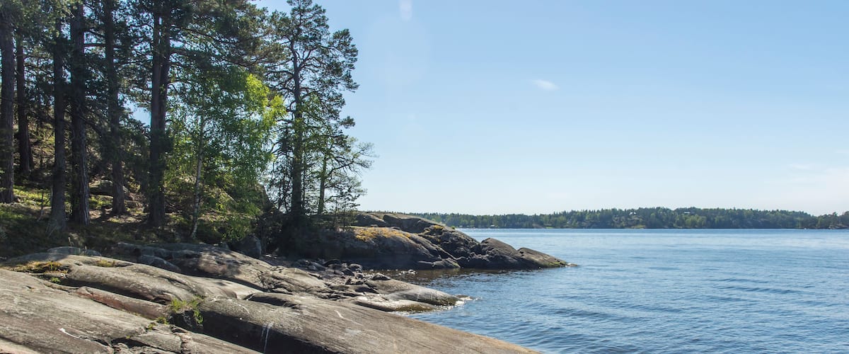Un rivage rocheux bordé d’arbres, avec une eau calme.