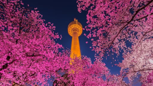 Daegu, South Korea - April 28, 2021 See the Cherry Blossom Night at E-World 83 Tower.