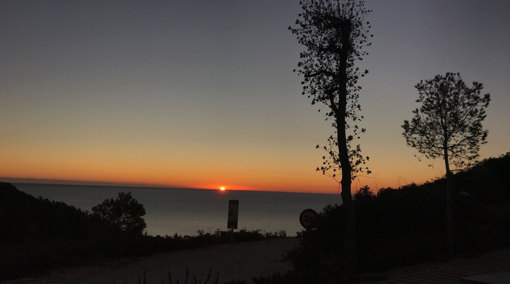 A drive as the sun rises up a steep sided track in search of the dawn!