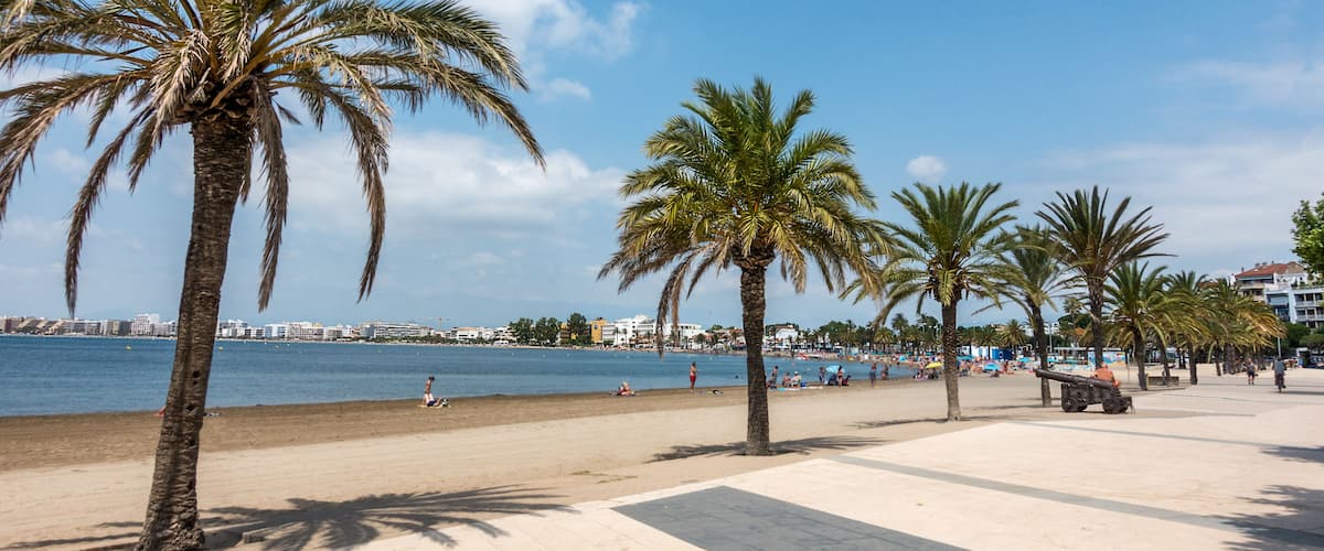 Une plage bordée de palmiers, une promenade de sable et une mer calme.