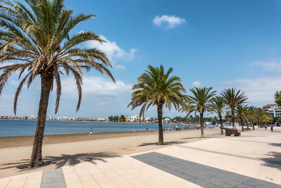 A beach with palm trees, a sandy walkway, and a calm sea.
