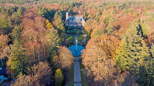 Aerial from castle Hooge Vuursche in the Netherlands in fall