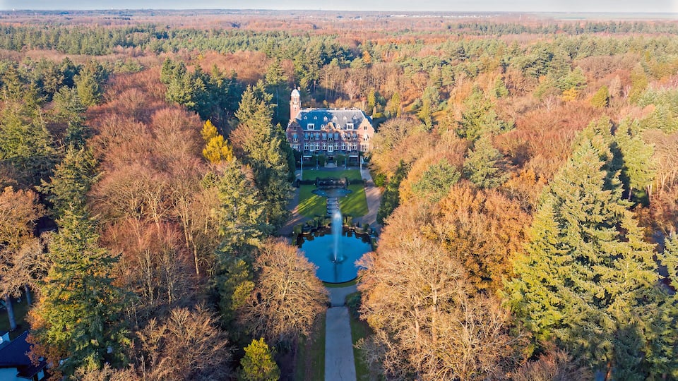 An aerial view of a large estate surrounded by dense forest, with a prominent building featuring a tower and a symmetrical driveway.